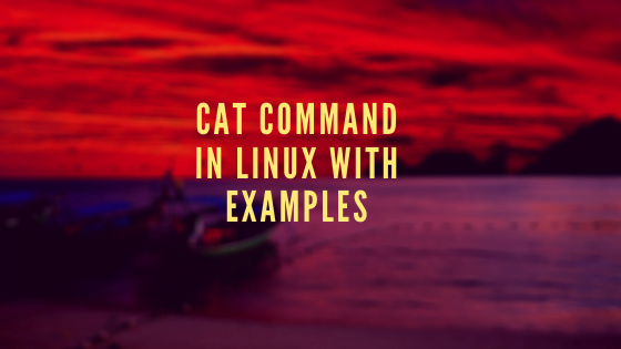cat command | How to view the content of a File in Linux - DevOpsTuT